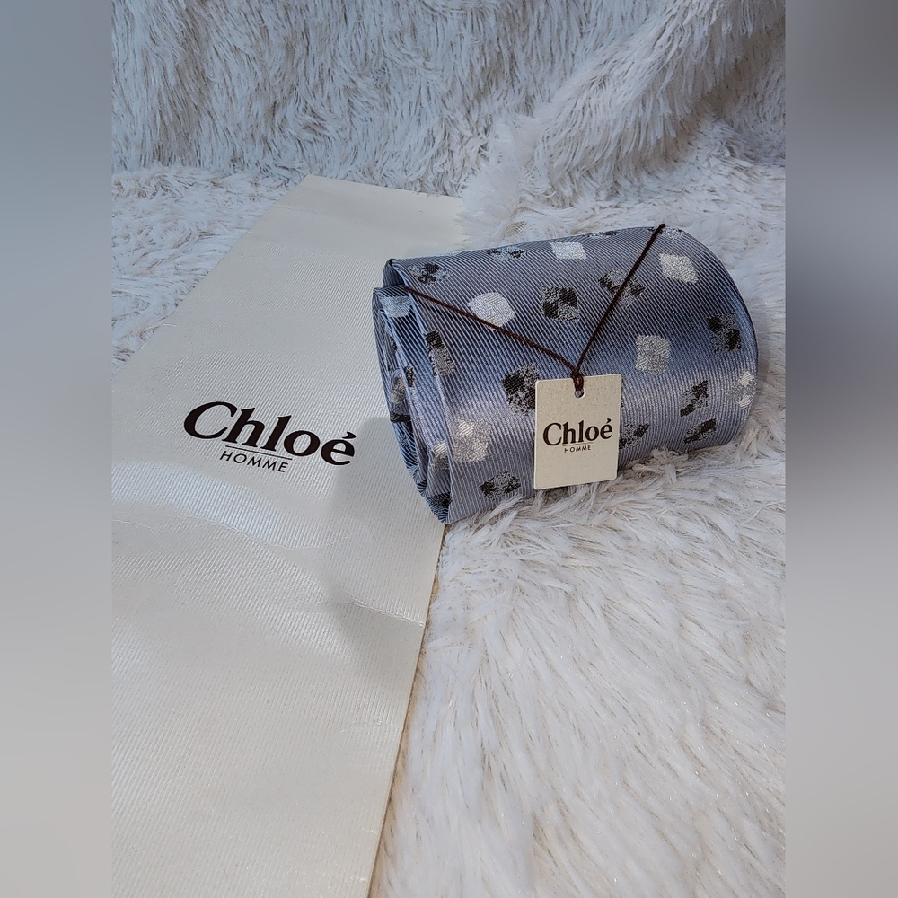 Chloé Blue-Grayish Patterned Silk Scarf - Picture 9 of 10